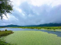 -腾冲北海湿地