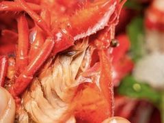 -虾弄弄海派小龙虾·牛羊蝎子火锅