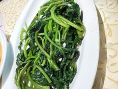 -蝴蝶汇音乐酒馆(罗湖店)