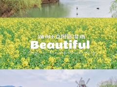 -长兴太湖图影湿地文化园