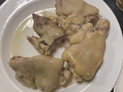 -丁老爷子苏香圆