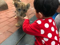 -野生动物园-停车场