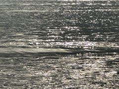 -侨港海滩