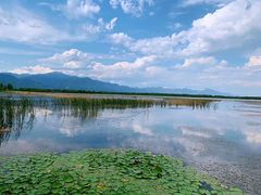 -野鸭湖国家湿地公园