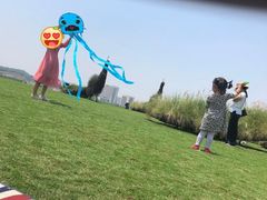 -光明小镇欢乐田园