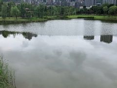 -沐仙湖湿地公园
