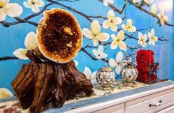 -scarlet斯卡莱美容护理机构