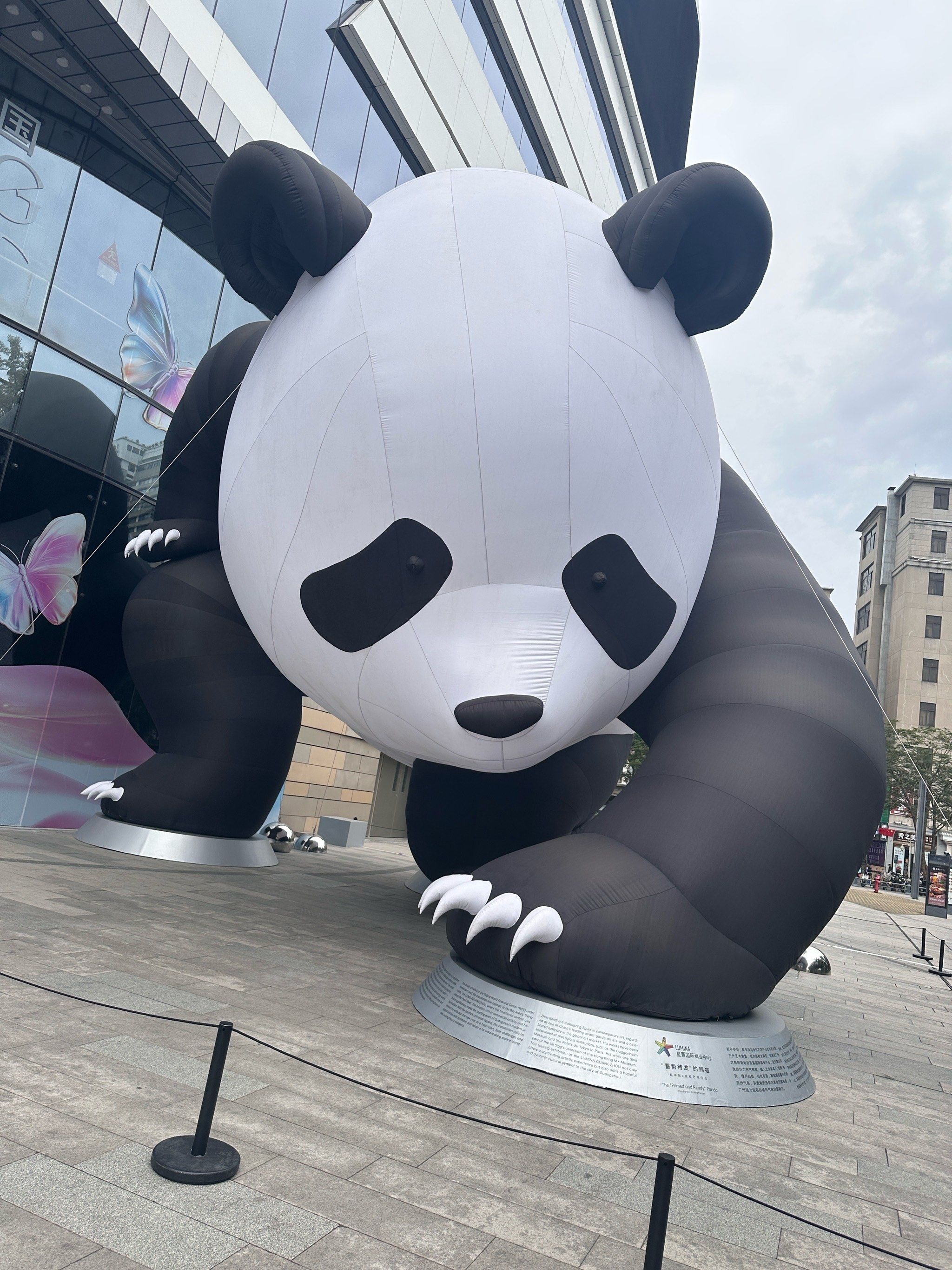 巨型大熊猫