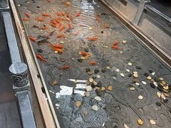 -四季民福烤鸭店(前门店)