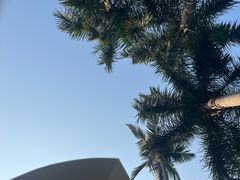 -人民公园(罗湖区)