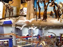 -国家自然博物馆