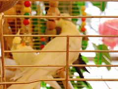 -潇湘·永州会馆(百子湾店)