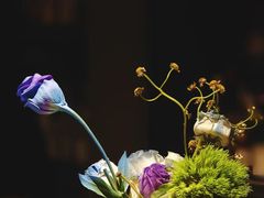 -villaa·别墅·融合菜西餐厅