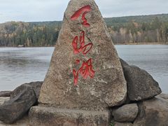 -五营红松林海景区