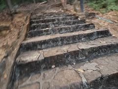 -风云岭森林公园