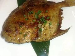 -割烹酱子日本料理(弘基财富广场店)