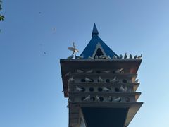 -泉城广场