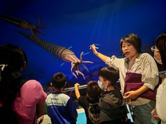 -国家自然博物馆