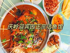 -庆岭迎宾园正宗活鱼馆