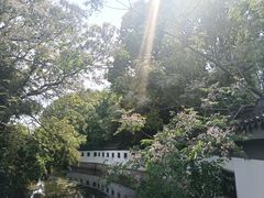 -上海青龙寺