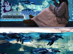 -海合安武汉极地海洋公园