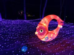 -青龙湖公园