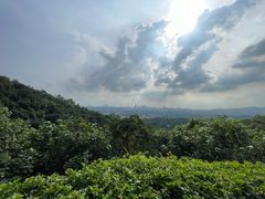 -火炉山森林公园