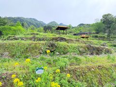 -石台牯牛降景区