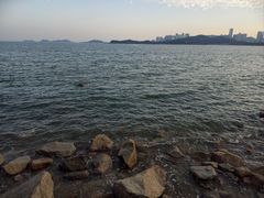 -野狸岛