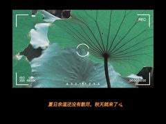 -莫催咖啡