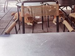 -Infica Coffee