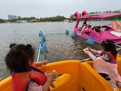 -大兴滨河森林公园