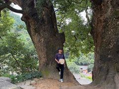 -杨家堂村