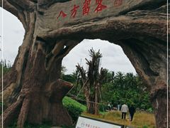 -蔡家宅