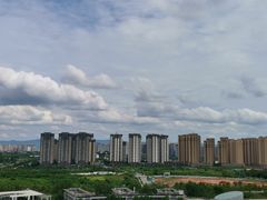 -功夫兔