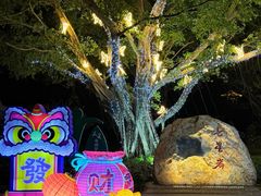 -星湖旅游景区七星岩