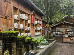 -青城甲(青城山店)