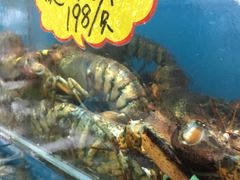 -港畔赶海蒸汽海鲜烧烤自助(仙螺岛店)