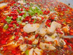 爱妻水煮鱼-爱妻鱼•老体北重庆水煮鱼•川菜(白云路店)