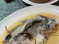 立鱼-猪肉婆私房菜(容桂总店)