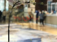 -深圳东方银座酒店