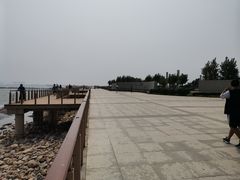 -东疆建设开发纪念公园