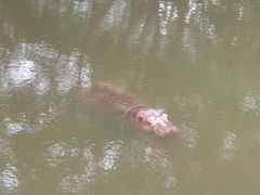 -泉州海丝野生动物世界