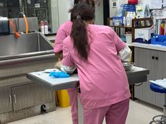 -爱妮康宠物医院·干细胞免疫细胞·肿瘤·心脏(张江店)