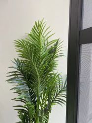 点击看大图 -玛尼瑜伽·普拉提
