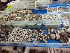 -岳各庄批发市场(西四环中路店)