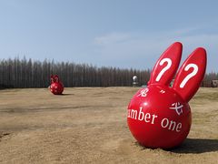 -黄海国家森林公园