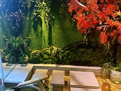 -渔乡米香·剁椒鱼头(四方坪店)