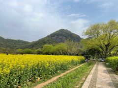 -八卦田遗址公园