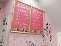 -喵百万·布偶·蓝金金渐层英短·猫舍(百子湾店)